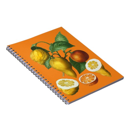 CITRUS FRUIT NOTITIEBOEK (Rechterzijde)