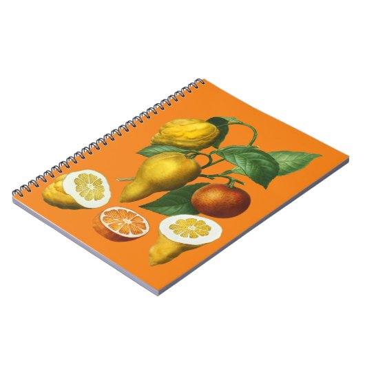 CITRUS FRUIT NOTITIEBOEK (Linkerzijde)