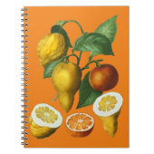 CITRUS FRUIT NOTITIEBOEK (Voorkant)