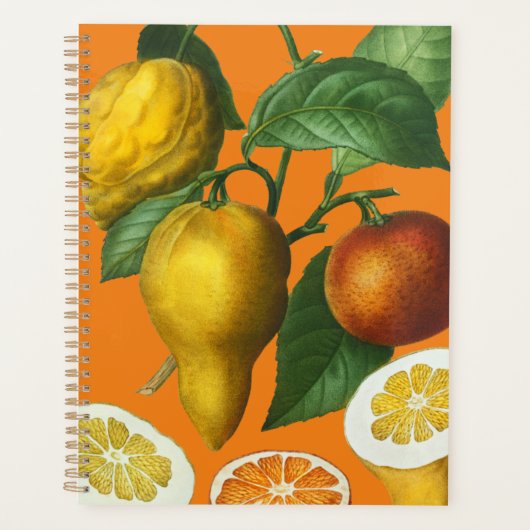 CITRUS FRUIT NOTITIEBOEK (Voorkant)