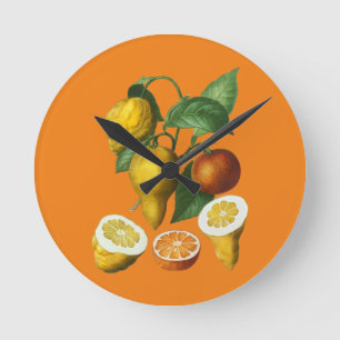 CITRUS FRUIT RONDE KLOK