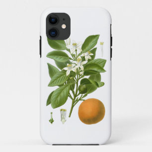 Citrus Fruit Sinaasappel Botanical no. 2 Home Deco Case-Mate iPhone Case