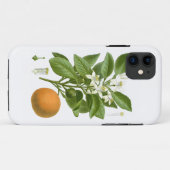 Citrus Fruit Sinaasappel Botanical no. 2 Home Deco Case-Mate iPhone Case (Achterkant (horizontaal))