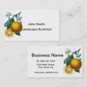 Citrus Fruit Sinaasappel Print nr. 6 art decor Visitekaartje (Voorkant / Achterkant)