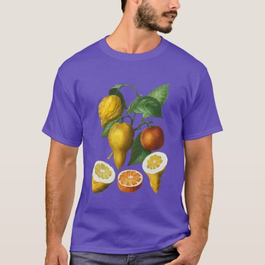 CITRUS FRUIT T-SHIRT (Voorkant)