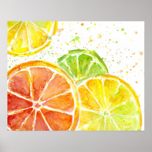 Citrus Fruit Waterverf Art Print Poster