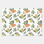 Citrus Fruit Yuzu en Oranje olie Inpakpapier Vel (Voorkant 3)