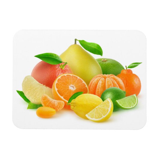 Citrus Fruits Magneet (Horizontaal)