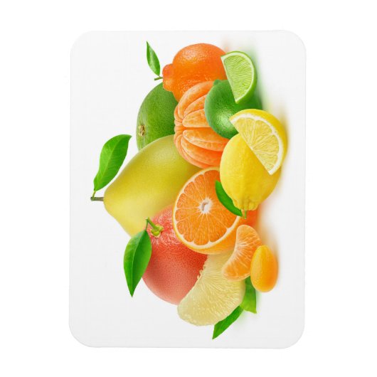 Citrus Fruits Magneet (Verticaal)