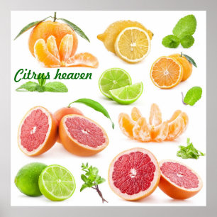 Citrus hemel voor die fruitliefhebbers daar poster