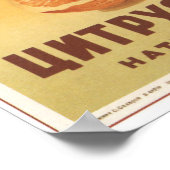 Citrus Juice Poster (Hoek)