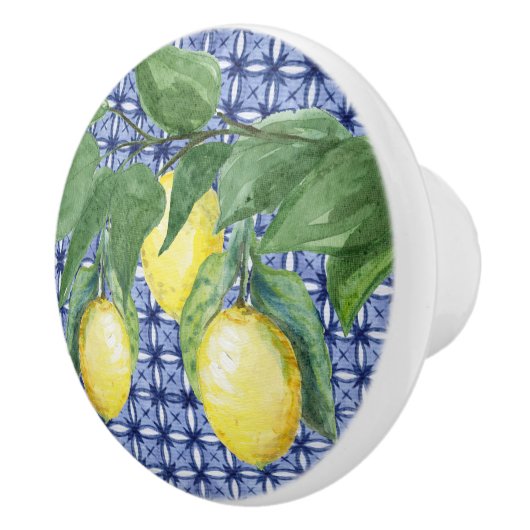 Citrus Lemon Foliage Waterverf Pattern Blue Keramische Knop (Rechts)