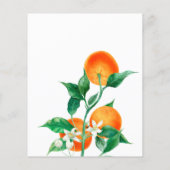 Citrus Little Cutie Baby shower Advice Game Kaart (Achterkant)