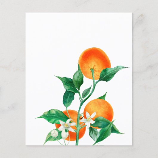 Citrus Little Cutie Baby shower Advice Game Kaart (Achterkant)