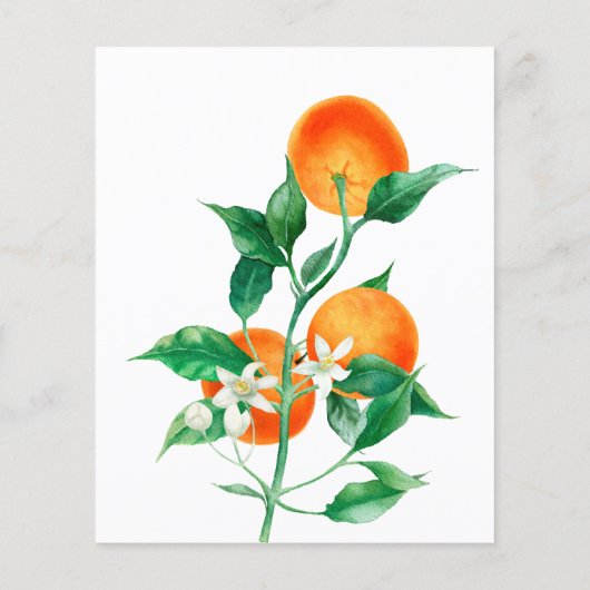 Citrus Little Cutie Baby shower Bingo Game Kaart (Achterkant)