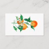 Citrus Little Cutie Baby shower Game Diaper Raffle Informatiekaartje (Achterkant)