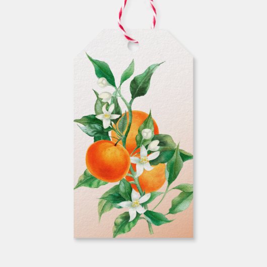 Citrus Little Cutie Botanical Oranje Baby shower Cadeaulabel (Achterkant)