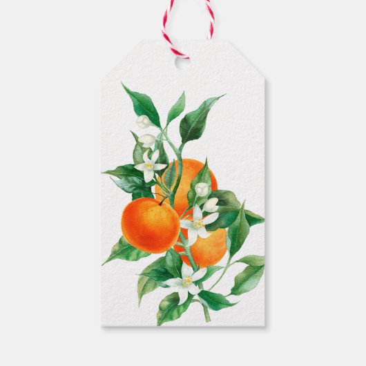 Citrus Little Cutie Greenery Oranje Baby shower Cadeaulabel (Achterkant)