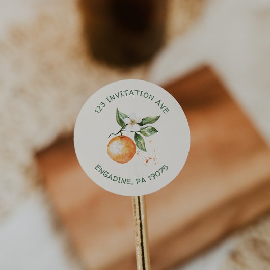 Citrus Little Cutie Return Address Envelope Seals Ronde Sticker