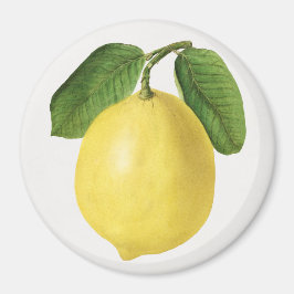 Citrus Magneet
