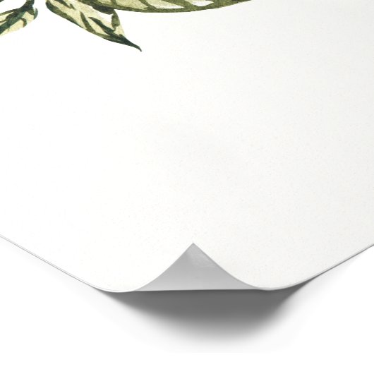 Citrus Main Squeeze Baby shower Welcome Sign Poster (Hoek)