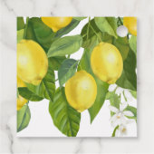 Citrus Main Squeeze Sweetie Lemon Baby shower Bedankjes Labels (Achterkant)