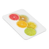 Citrus Olympische Spelen Magneet (Rechterzijde)