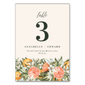 Citrus oranje botanisch modern rustig tabelnummer kaart (Achterkant)