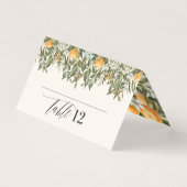 Citrus oranje botanische moderne rustige plaatskaa kaart (Voorkant)