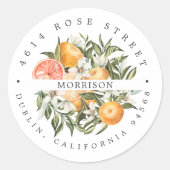 Citrus Orchard | Boho Botanical Return Address Ronde Sticker (Voorkant)