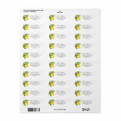 Citrus Orchard Return Address Labels (Full Sheet)