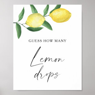 Citrus - raad hoeveel citroendruppels poster