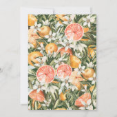 Citrus, sinaasappel + blossom, dop (Achterkant)
