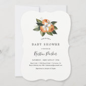 Citrus Sinaasappel Moderne Baby Shower Kaart (Voorkant)