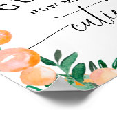 Citrus Sinaasappel Raad eens hoeveel schatjes Baby Poster (Hoek)