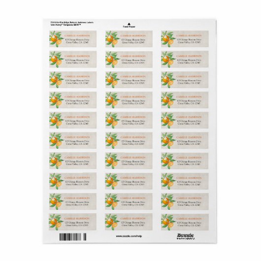 Citrus Sinaasappels Rustic Return Address Label (Full Sheet)