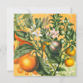  Citrus slaat de datum op Save The Date (Achterkant)