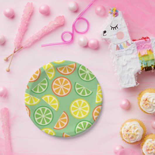 Citrus Slice verjaardagsfeestje Papieren Bordje (Feest)