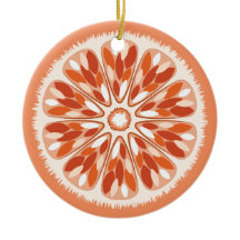 Citrus Slices Sinaasappel