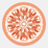 Citrus Slices Sinaasappel Ronde Sticker (Voorkant)