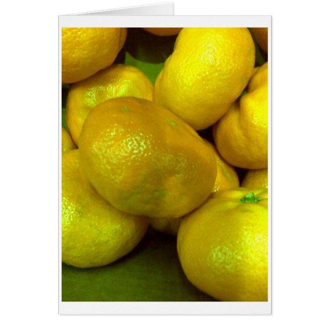 Citrus Squash (Voorkant)