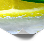 Citrus Squeeze Poster (Hoek)