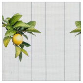Citrus Stof (Close Up)