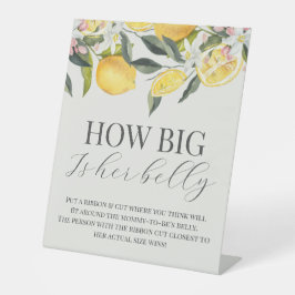 Citrus thema hoe groot is haar buik baby shower bo reclamebord met voetstuk