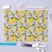 Citrus Tissuepapier (Craft)