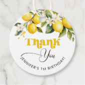 Citrus verjaardagsfeestje dank u bedankjes labels (Voorkant)