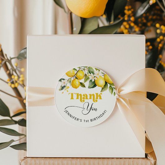 Citrus verjaardagsfeestje dank u ronde sticker