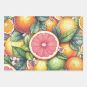Citrus Waterverf Sinaasappel Fruit Botanische Zome Inpakpapier Vel (Voorkant 2)