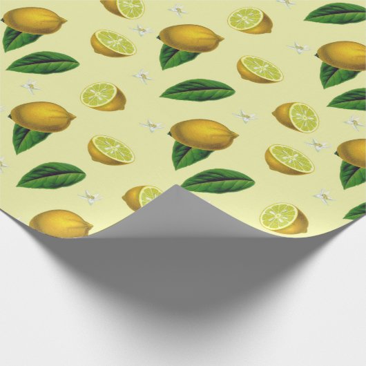 Citrus Wrapping Paper Cadeaupapier (Hoek)