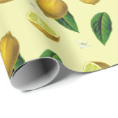 Citrus Wrapping Paper Cadeaupapier (Rol Hoek)